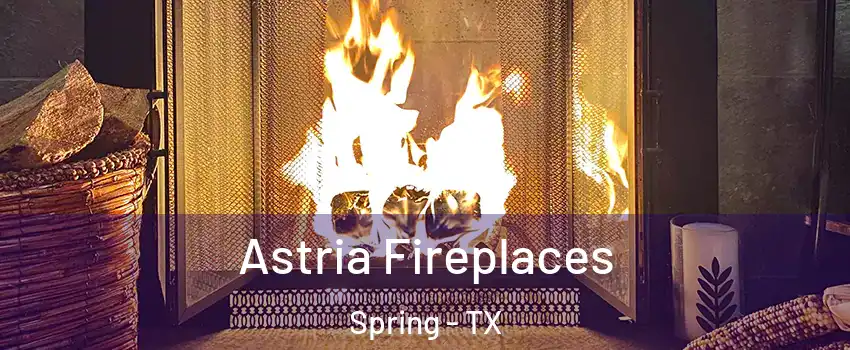  Astria Fireplaces Spring - TX