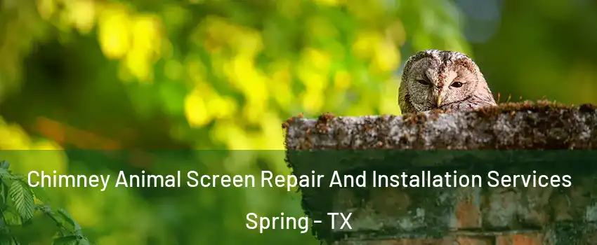  Chimney Animal Screen Repair And Installation Services Spring - TX