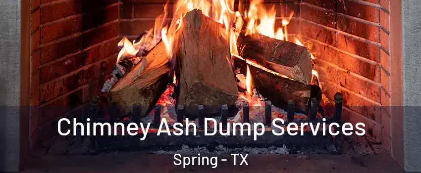  Chimney Ash Dump Services Spring - TX