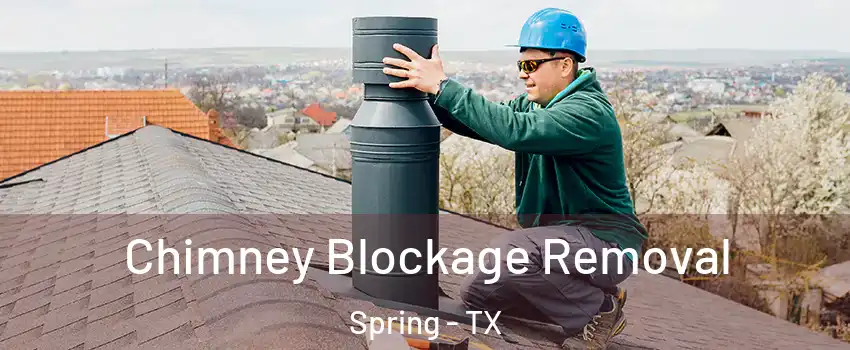  Chimney Blockage Removal Spring - TX