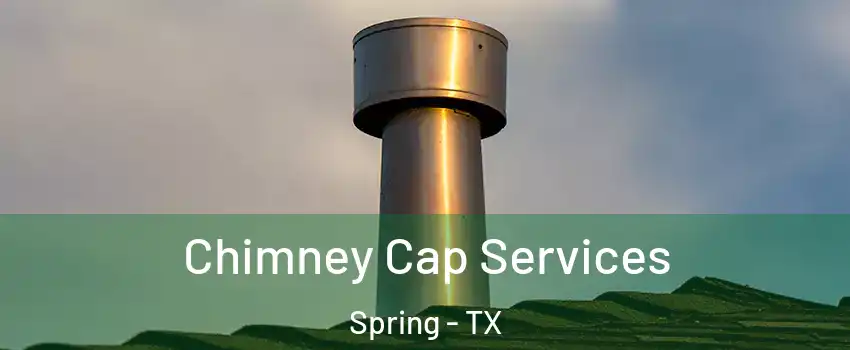  Chimney Cap Services Spring - TX
