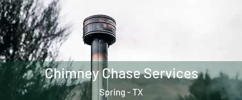  Chimney Chase Services Spring - TX