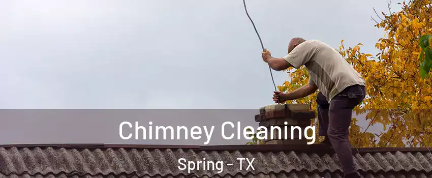  Chimney Cleaning Spring - TX