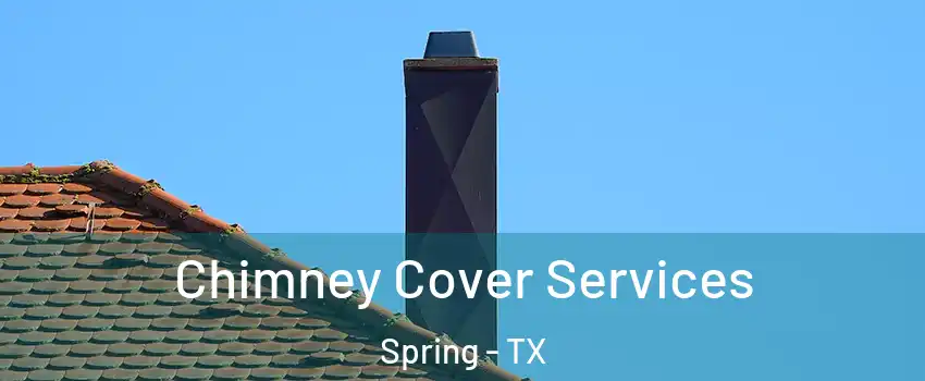  Chimney Cover Services Spring - TX