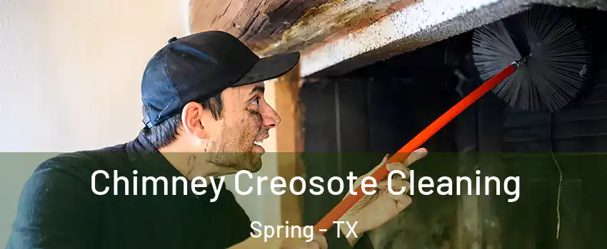  Chimney Creosote Cleaning Spring - TX