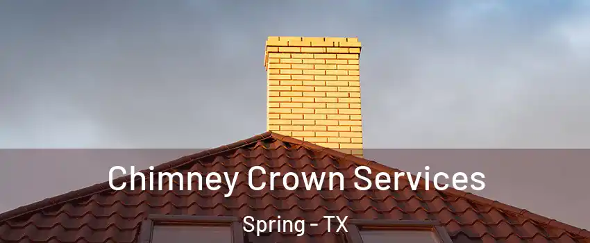  Chimney Crown Services Spring - TX