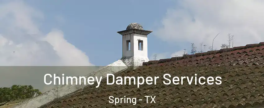  Chimney Damper Services Spring - TX