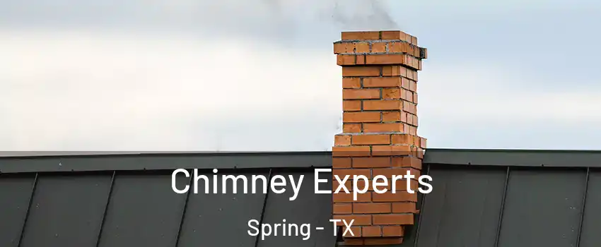  Chimney Experts Spring - TX