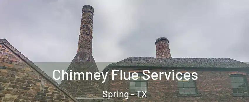  Chimney Flue Services Spring - TX