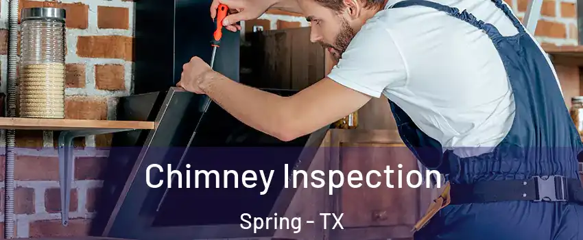  Chimney Inspection Spring - TX