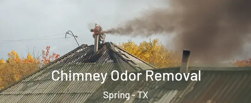  Chimney Odor Removal Spring - TX
