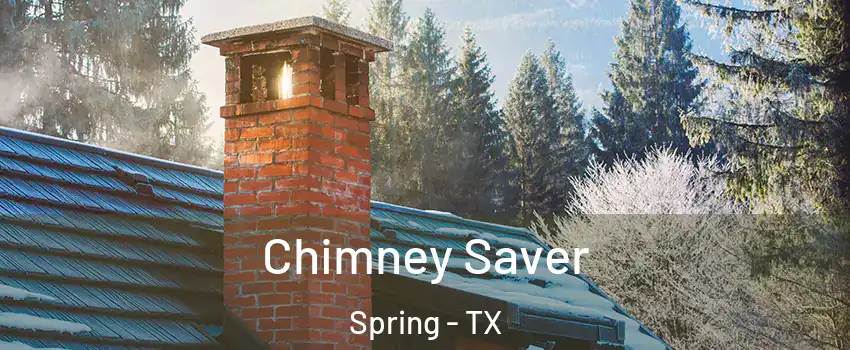  Chimney Saver Spring - TX