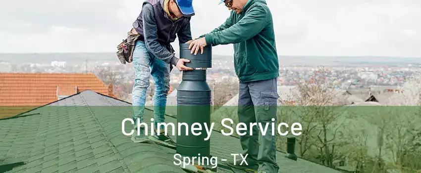  Chimney Service Spring - TX
