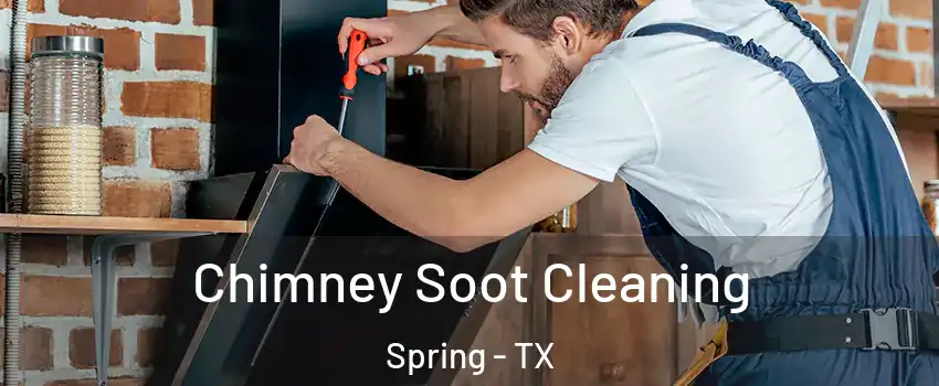 Chimney Soot Cleaning Spring - TX