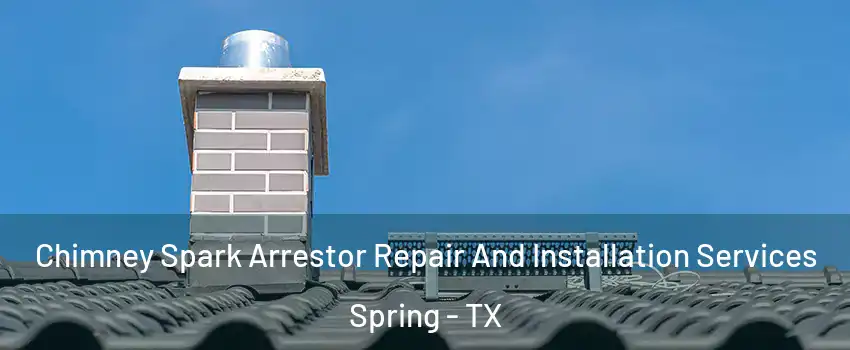  Chimney Spark Arrestor Repair And Installation Services Spring - TX