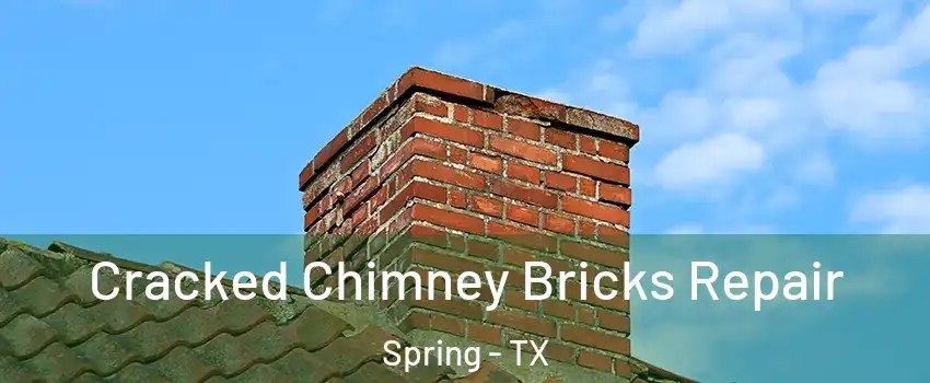  Cracked Chimney Bricks Repair Spring - TX