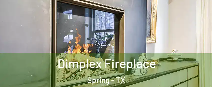  Dimplex Fireplace Spring - TX