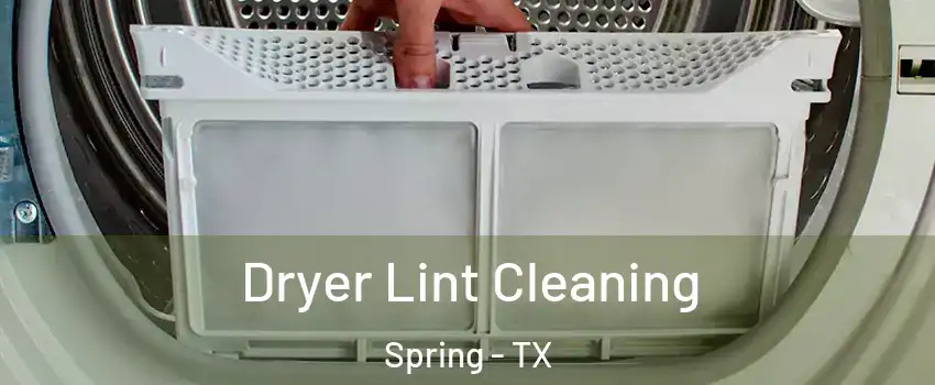  Dryer Lint Cleaning Spring - TX