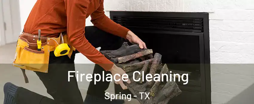  Fireplace Cleaning Spring - TX