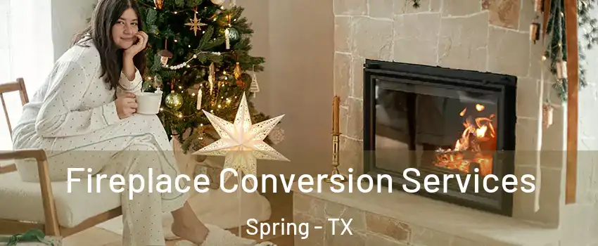  Fireplace Conversion Services Spring - TX