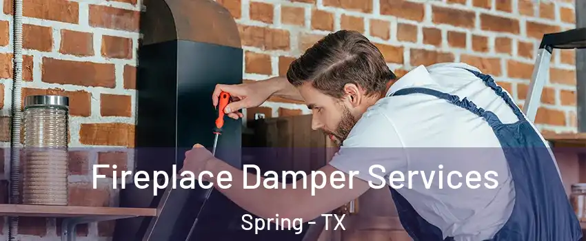  Fireplace Damper Services Spring - TX