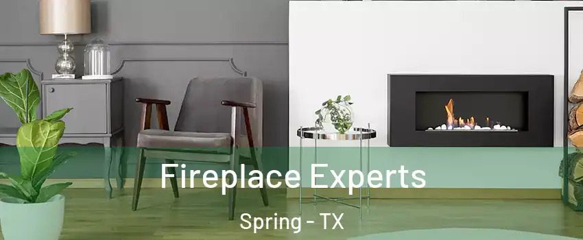  Fireplace Experts Spring - TX