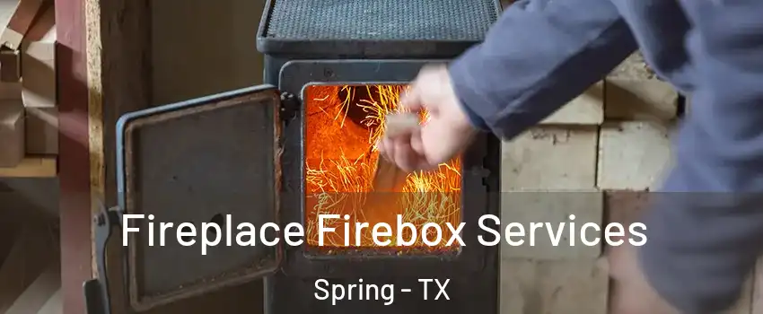  Fireplace Firebox Services Spring - TX
