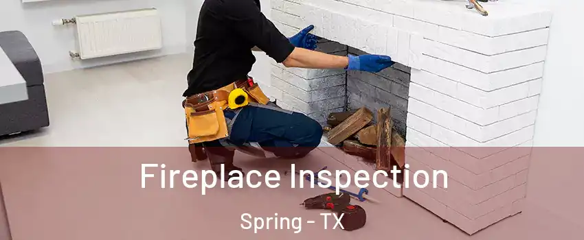  Fireplace Inspection Spring - TX