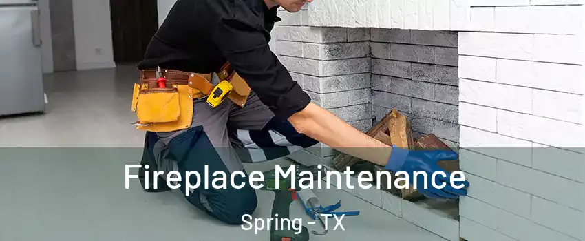  Fireplace Maintenance Spring - TX
