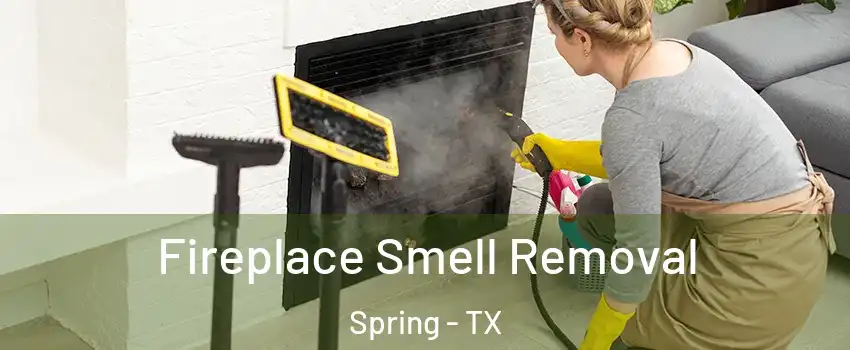  Fireplace Smell Removal Spring - TX
