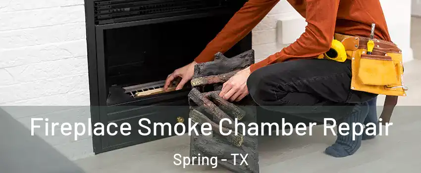  Fireplace Smoke Chamber Repair Spring - TX