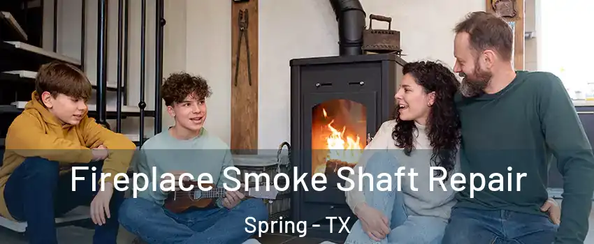  Fireplace Smoke Shaft Repair Spring - TX
