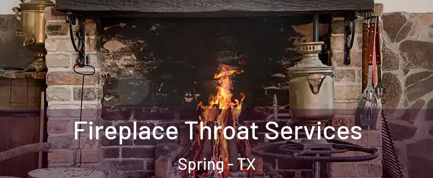  Fireplace Throat Services Spring - TX