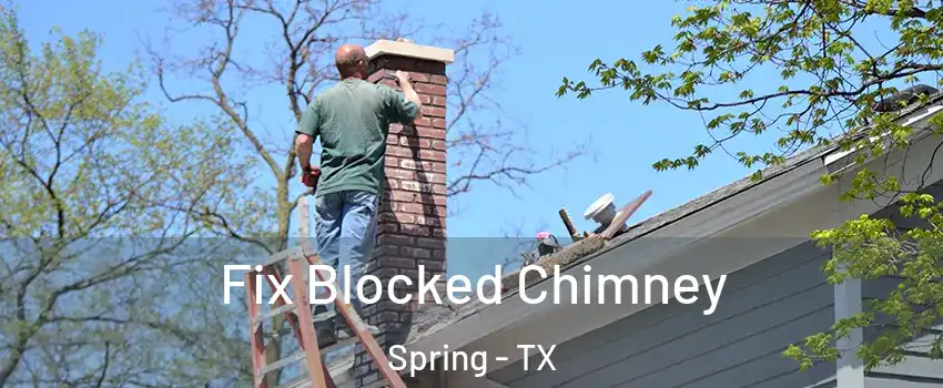  Fix Blocked Chimney Spring - TX