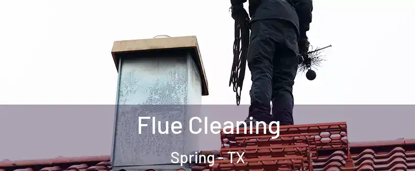  Flue Cleaning Spring - TX