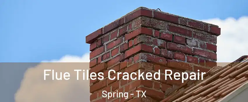  Flue Tiles Cracked Repair Spring - TX