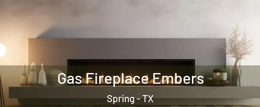  Gas Fireplace Embers Spring - TX