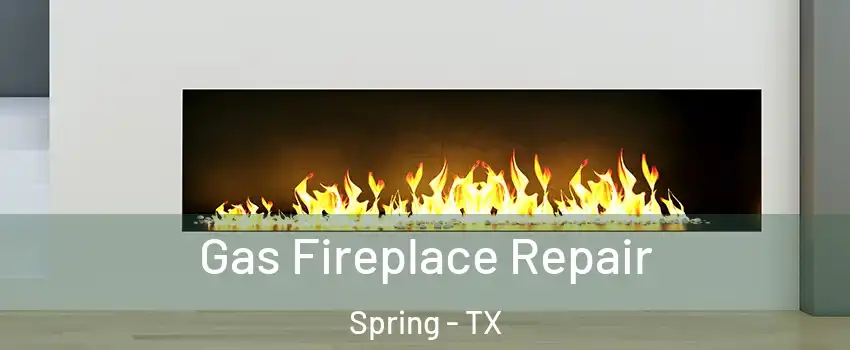  Gas Fireplace Repair Spring - TX