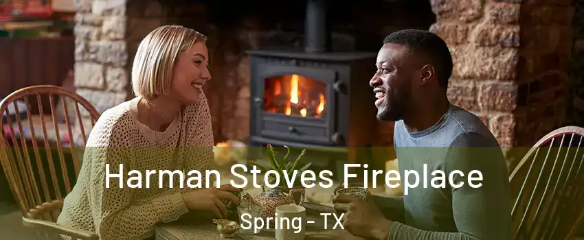 Harman Stoves Fireplace Spring - TX