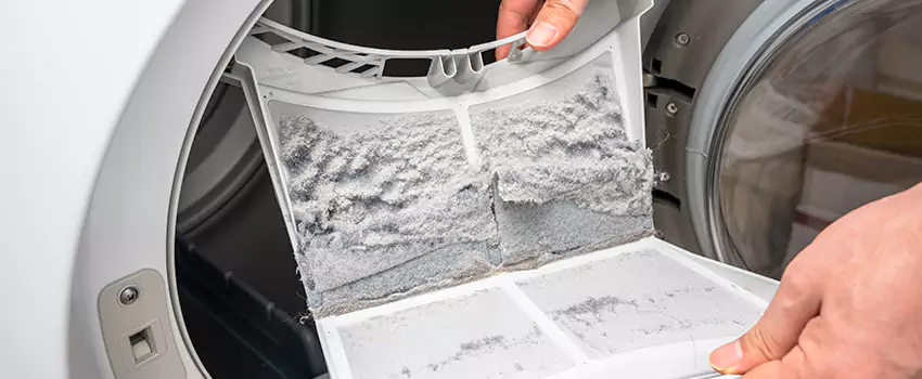 Best Dryer Lint Removal Company in Spring, Texas