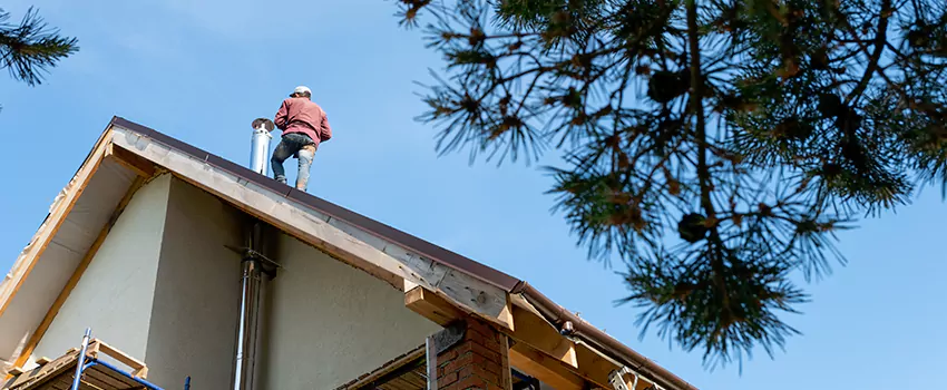 Birds Removal Contractors from Chimney in Spring, TX
