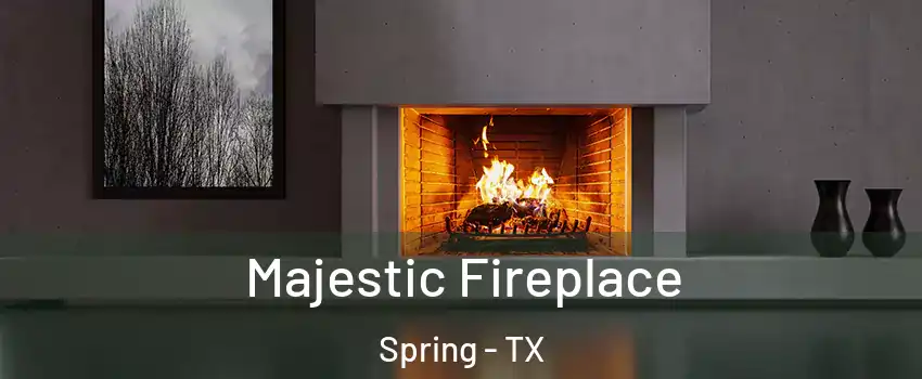  Majestic Fireplace Spring - TX