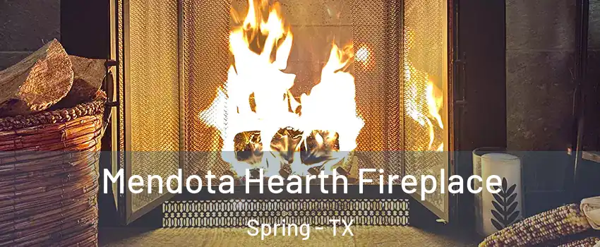  Mendota Hearth Fireplace Spring - TX