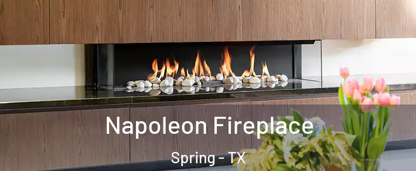  Napoleon Fireplace Spring - TX