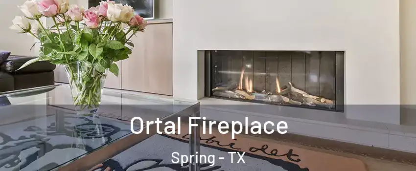  Ortal Fireplace Spring - TX