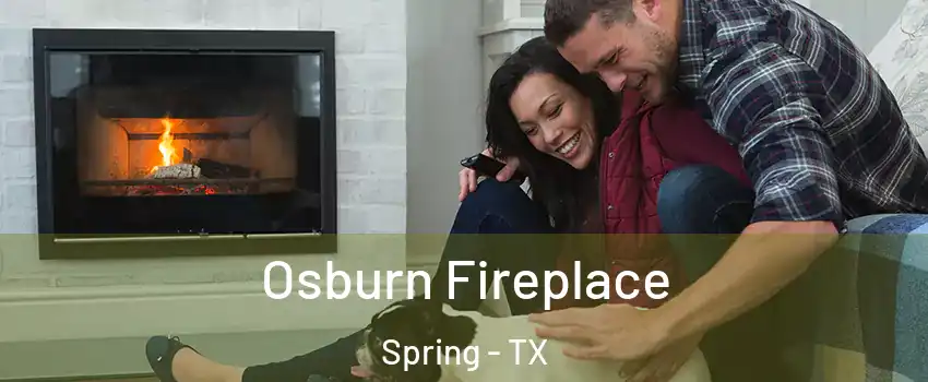  Osburn Fireplace Spring - TX