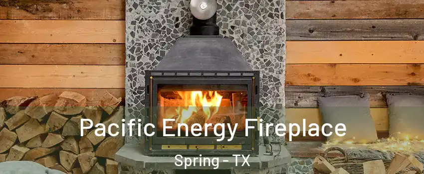  Pacific Energy Fireplace Spring - TX